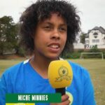 Miche Minnies